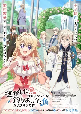 梦想成为魔法少女精彩高燃片段